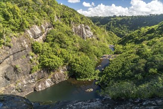 Tamarind Falls or Les 7 Cascades at Henrietta