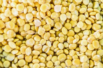 Lupin beans in salted water