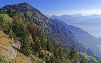 Rigi Bluemlisegg and Rotbalmegg