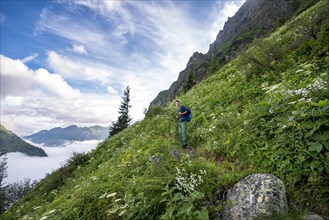 Hiker on hiking trail