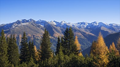 Autumnal mountain landscape with larches (Larix)