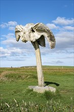 Sculpture from whale bones of a whale