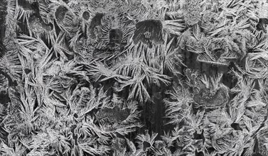 Ice crystals at a window