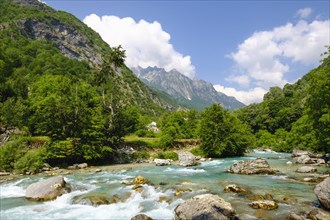 River Valbona