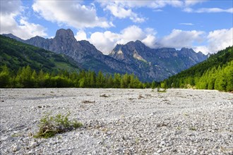 Valbona Riverbed