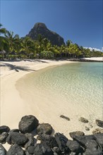 Beach with palm trees