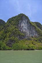 Overgrown limestone rocks in Phang Nga Bay