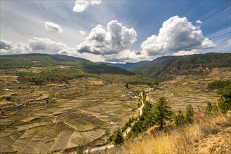 Terraced cultivation