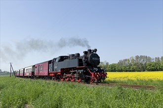 Steam train Molli