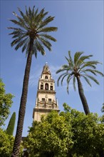 Bell tower Torre del Alminar