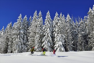 Snowshoe hikers in front of a snow-covered forest on the premium winter hiking trail of the Hemmersuppenalm