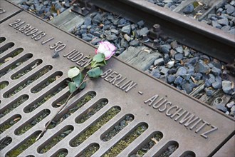 Rose at memorial to the Deportation of Jews from Berlin