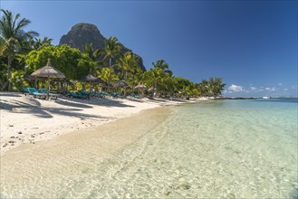 Beach with palm trees