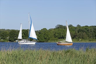 Sailing boats on the Schlei