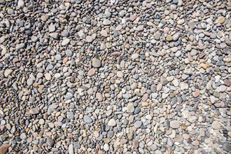 Area of mixed gravel