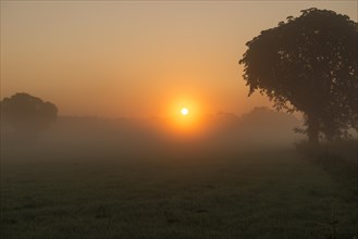 Morning fog over meadow landscape at sunrise