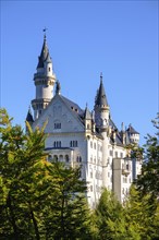 Castle Neuschwanstein