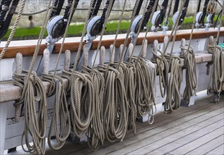 Rigging