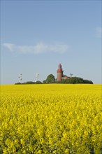 Lighthouse Buk with flowering rape field