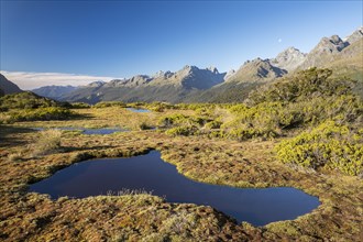 Pond at Key Summit