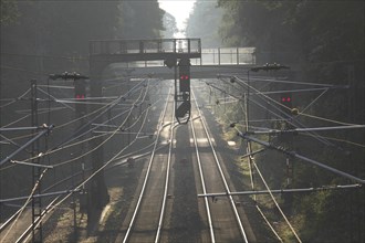 Railroad tracks with signals in morning fog