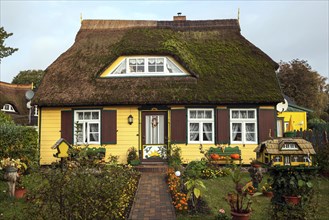 Typical yellow thatched-roof house