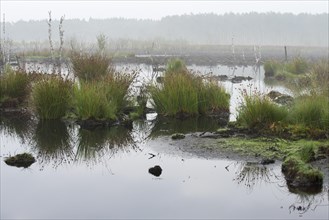 Theikenmeer nature reserve