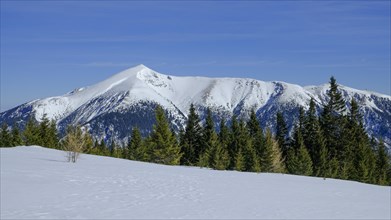 Winter landscape with Schneeberg