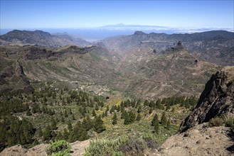 View from Roque Nublo