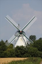 Windmill Betty