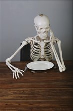 Skeleton with supported head sitting at table