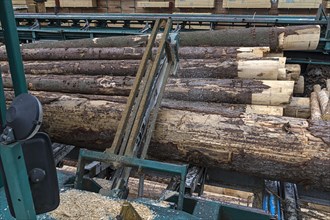 Computer controlled saw cuts a roundwood