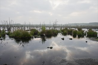 Theikenmeer nature reserve