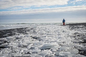 Man walking through Ice floes on black beach