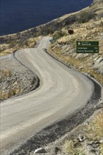 Section of the Carretera Austral with curves