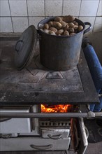 Potatoes in a pot for cattle feed on an old kitchen stove
