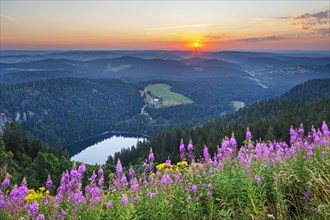 View from Feldberg mountain to lake Feldsee