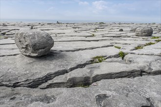 Rocks and columns in Burren karst landscape