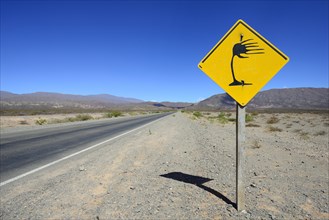 Warning sign crosswind at RP 33