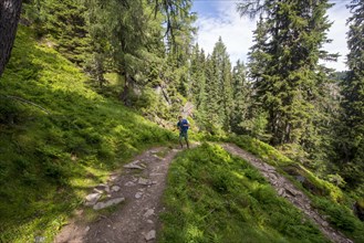 Hiker on trail in the forest to Hochwurzen
