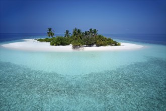 Uninhabited palm island with sandy beach