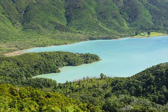 View over the Marlborough Sounds