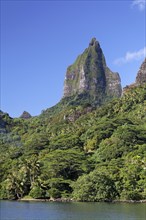Green Mountain Range with highest peak