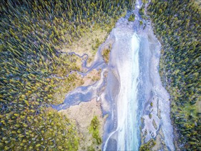 Aerial view of Bow river tributary in forest of Rockies Mountains