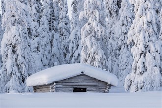 Snow-covered hut in winter landscape