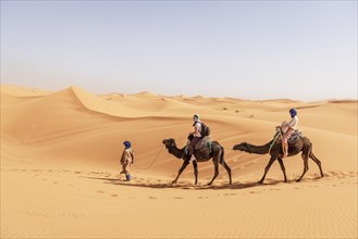 Caravan with two dromedaries (Camelus dromedarius) in sand dunes