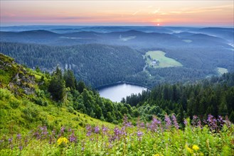 View from Feldberg mountain to lake Feldsee