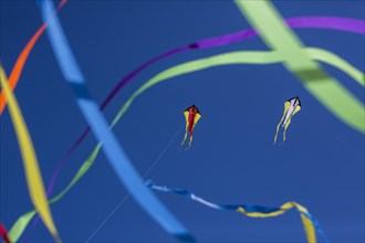 Kites in front of blue skies on the beach