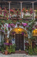 Many colorful flowers in flower pots on a house wall in the courtyard