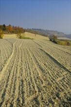 Harvested fields in autumn